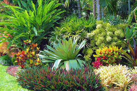 Our Landscaping Photos