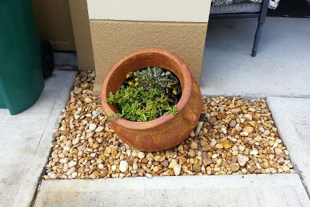 Landscape Brevard County Florida