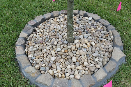 Stone Borders Brevard County Florida