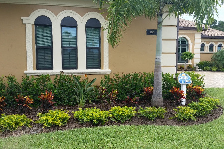 Landscape Brevard County Florida