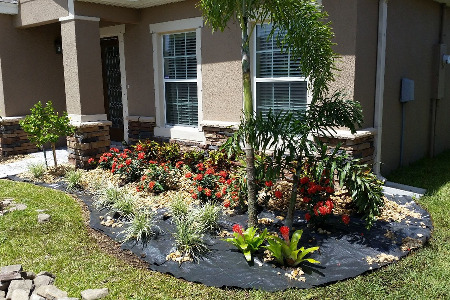 Landscape Brevard County Florida
