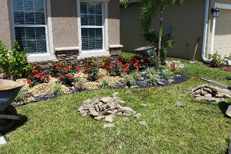 Landscape Brevard County Florida