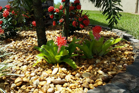 Landscape Brevard County Florida