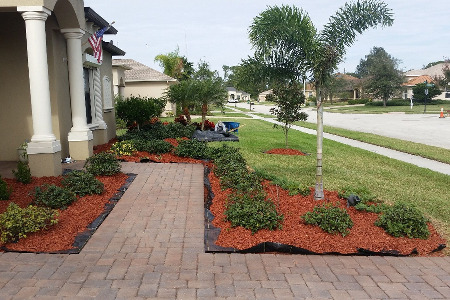 Landscape Brevard County Florida