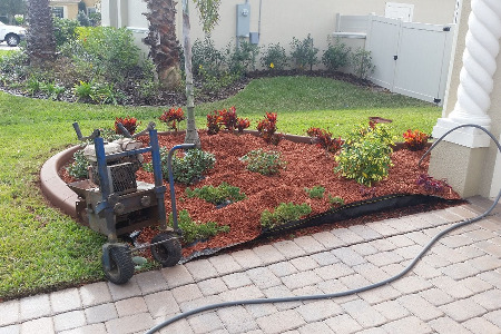 Landscape Brevard County Florida