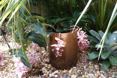 Landscape Brevard County Florida