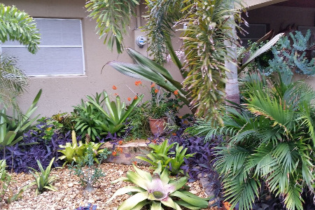 Landscape Brevard County Florida