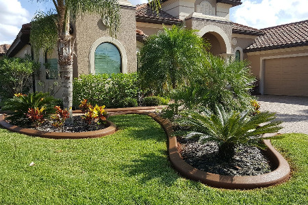 Color Curbing: Autumn Brown Brevard County Florida