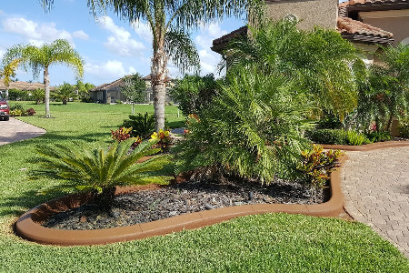 Color Curbing: Autumn Brown Brevard County Florida