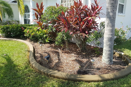 Color Curbing: Mesa Buff Brevard County Florida