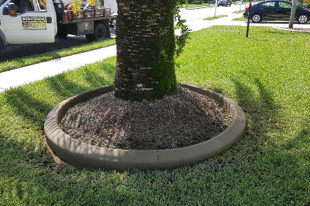 Color Curbing: Mesa Buff Brevard County Florida